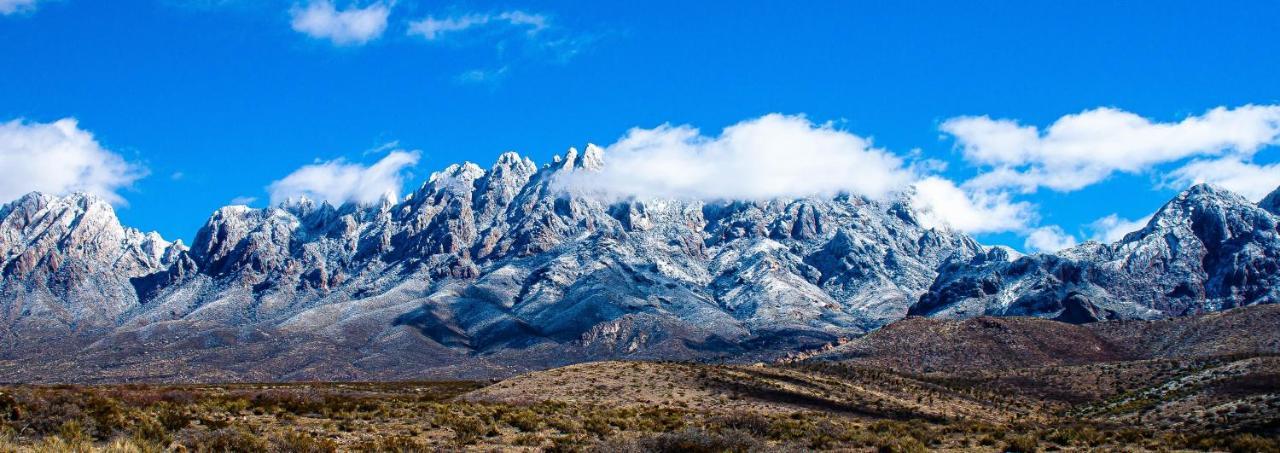 The Perfect Place . . . Here It Is! Las Cruces Eksteriør billede